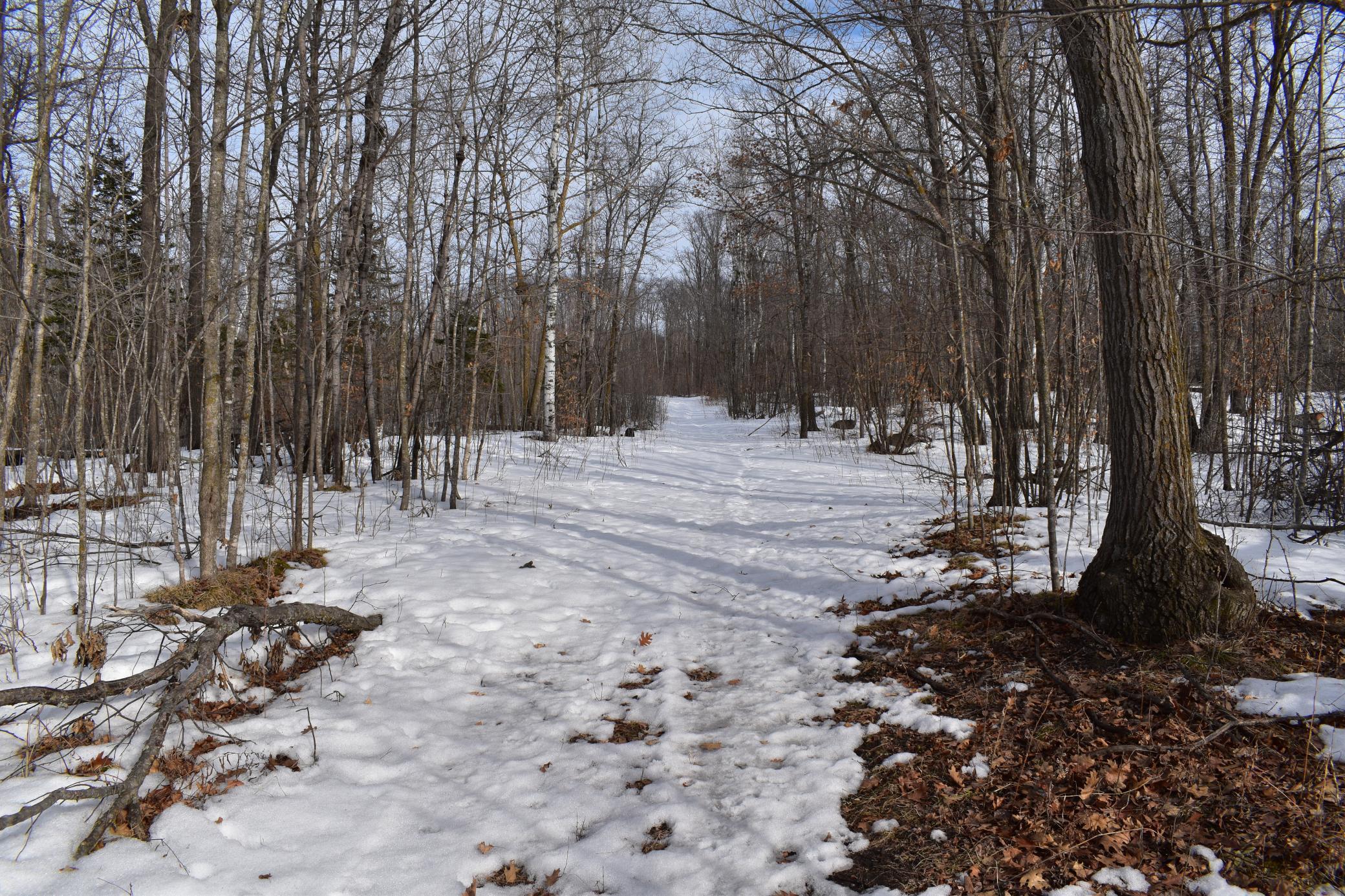 42810 Co Highway 26 Rochert, MN 56578 - Photo 19 of 78