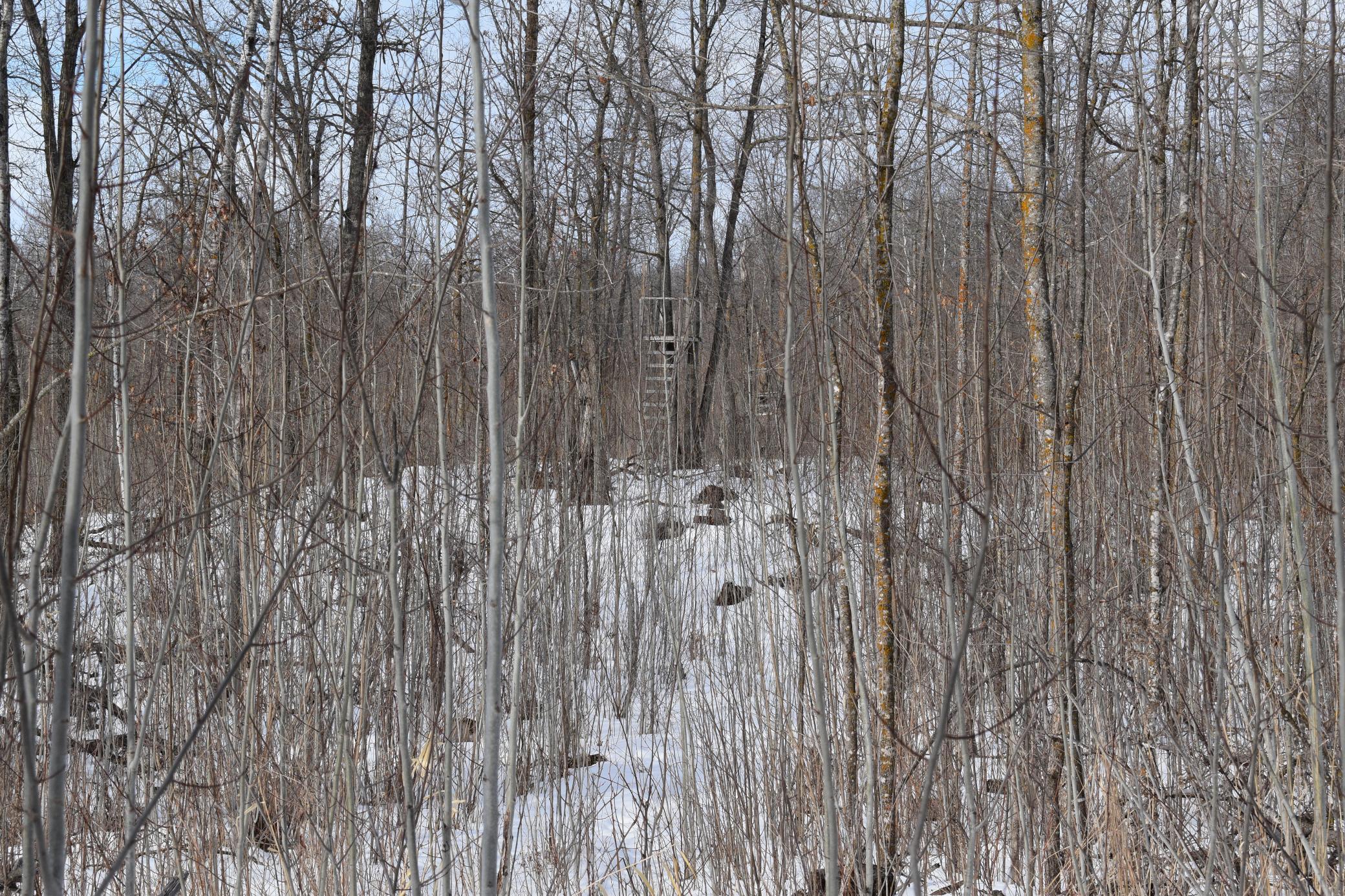 42810 Co Highway 26 Rochert, MN 56578 - Photo 20 of 78