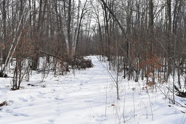 $649,000 | 42810 Co Highway 26, Rochert, MN 56578