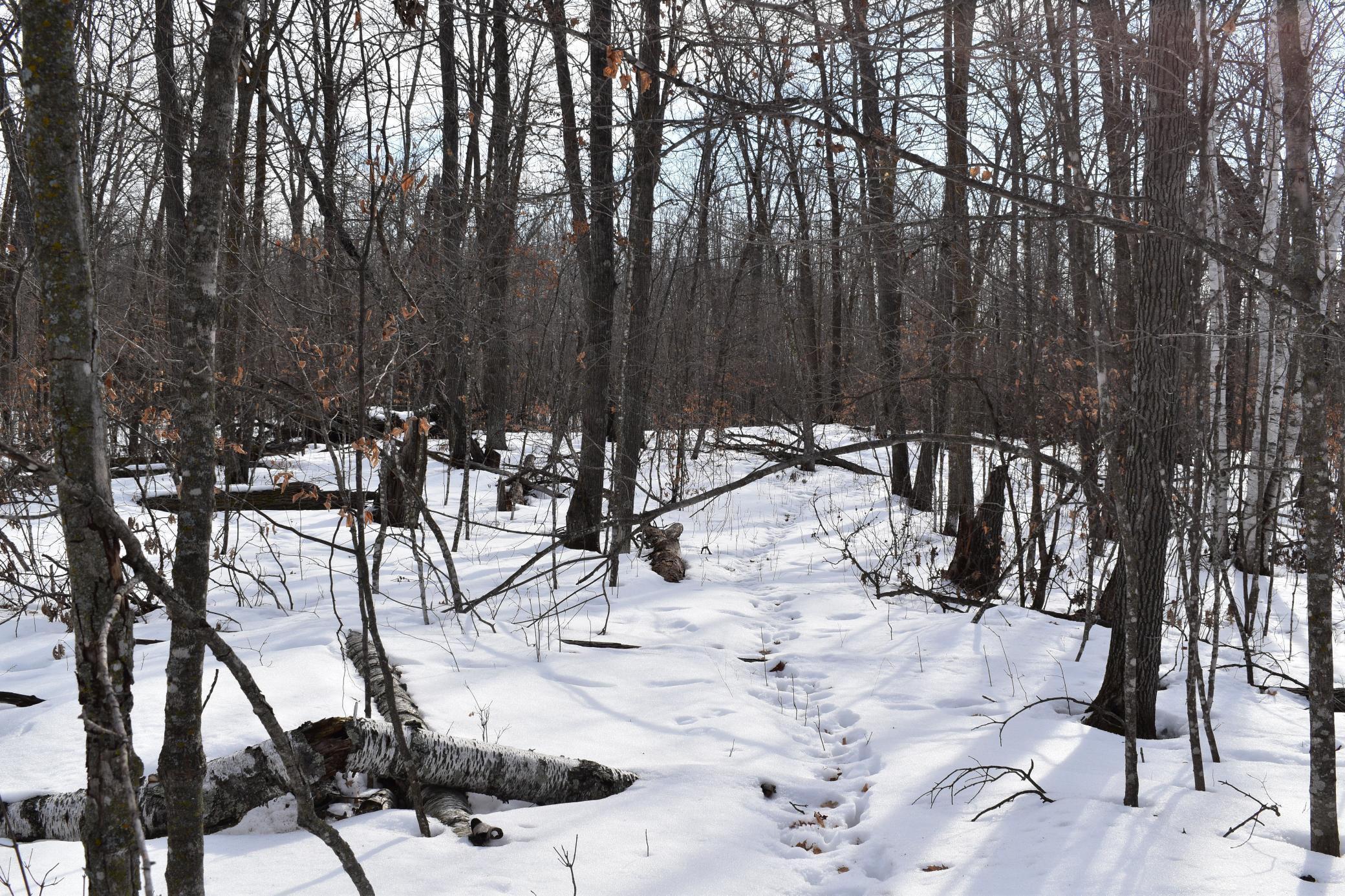 42810 Co Highway 26 Rochert, MN 56578 - Photo 22 of 78