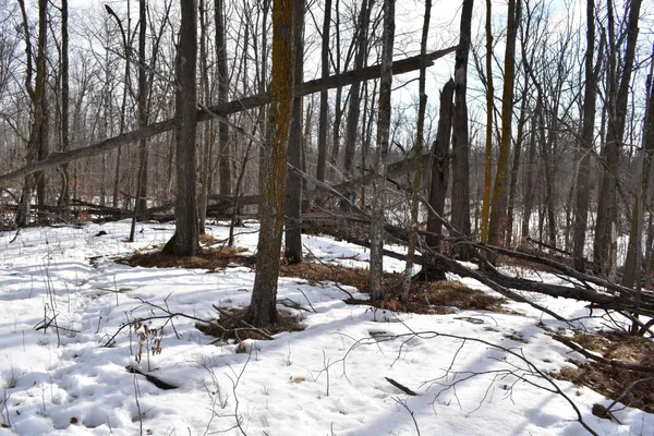 $649,000 | 42810 Co Highway 26, Rochert, MN 56578