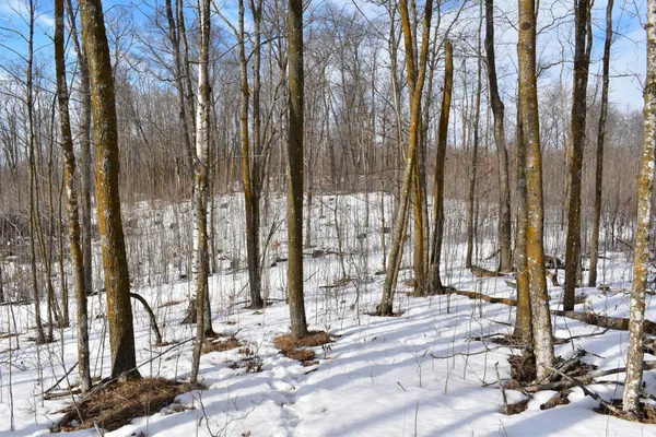 $649,000 | 42810 Co Highway 26, Rochert, MN 56578