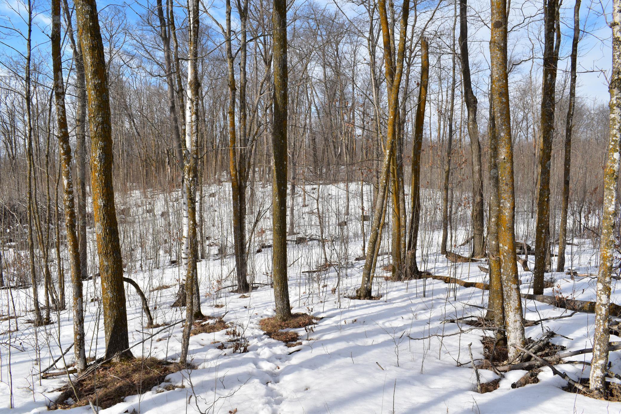 42810 Co Highway 26 Rochert, MN 56578 - Photo 24 of 78