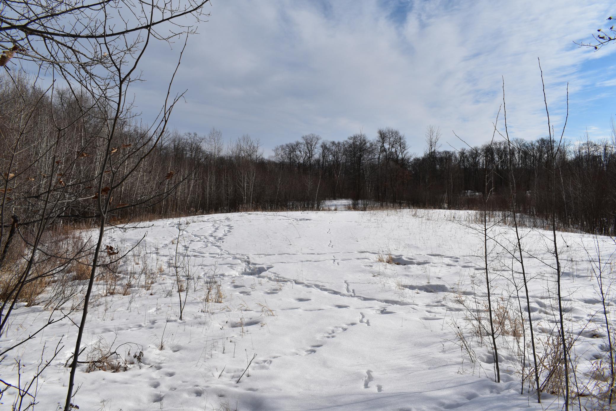 42810 Co Highway 26 Rochert, MN 56578 - Photo 25 of 78