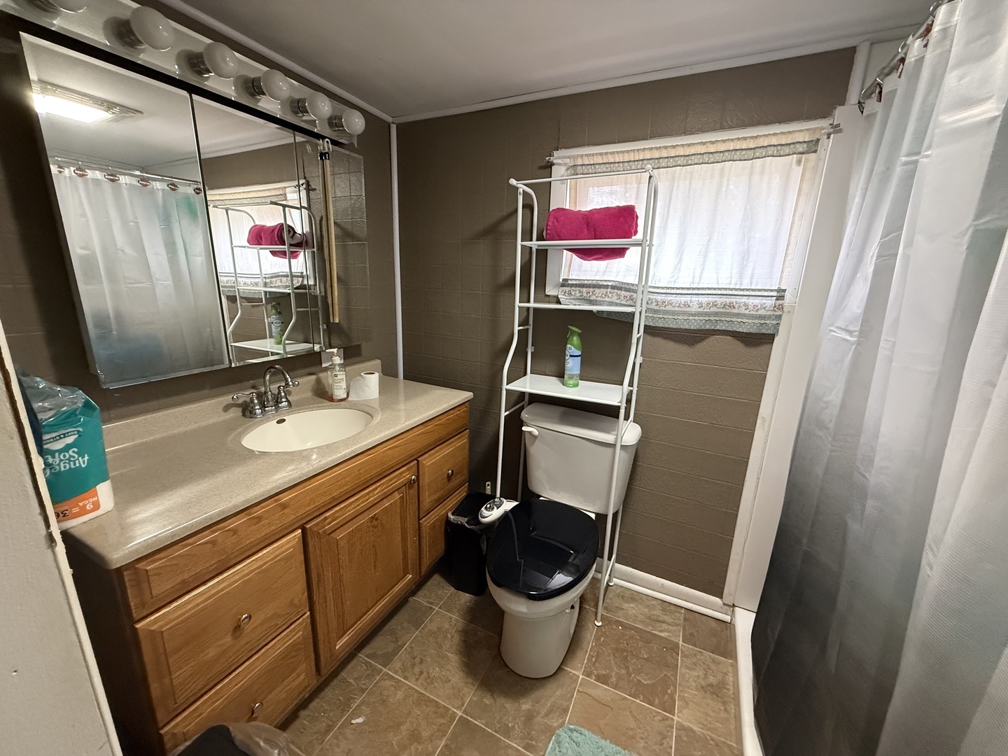 1 East Main Street Amboy, IL 61310 - Photo 20 of 32 a bathroom with a sink vanity mirror and toilet
