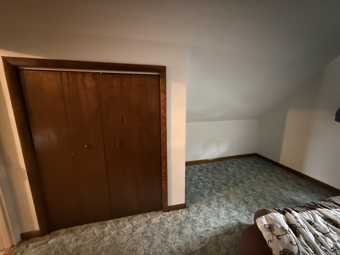 1 East Main Street Amboy, IL 61310 - Photo 28 of 32 an empty room with windows