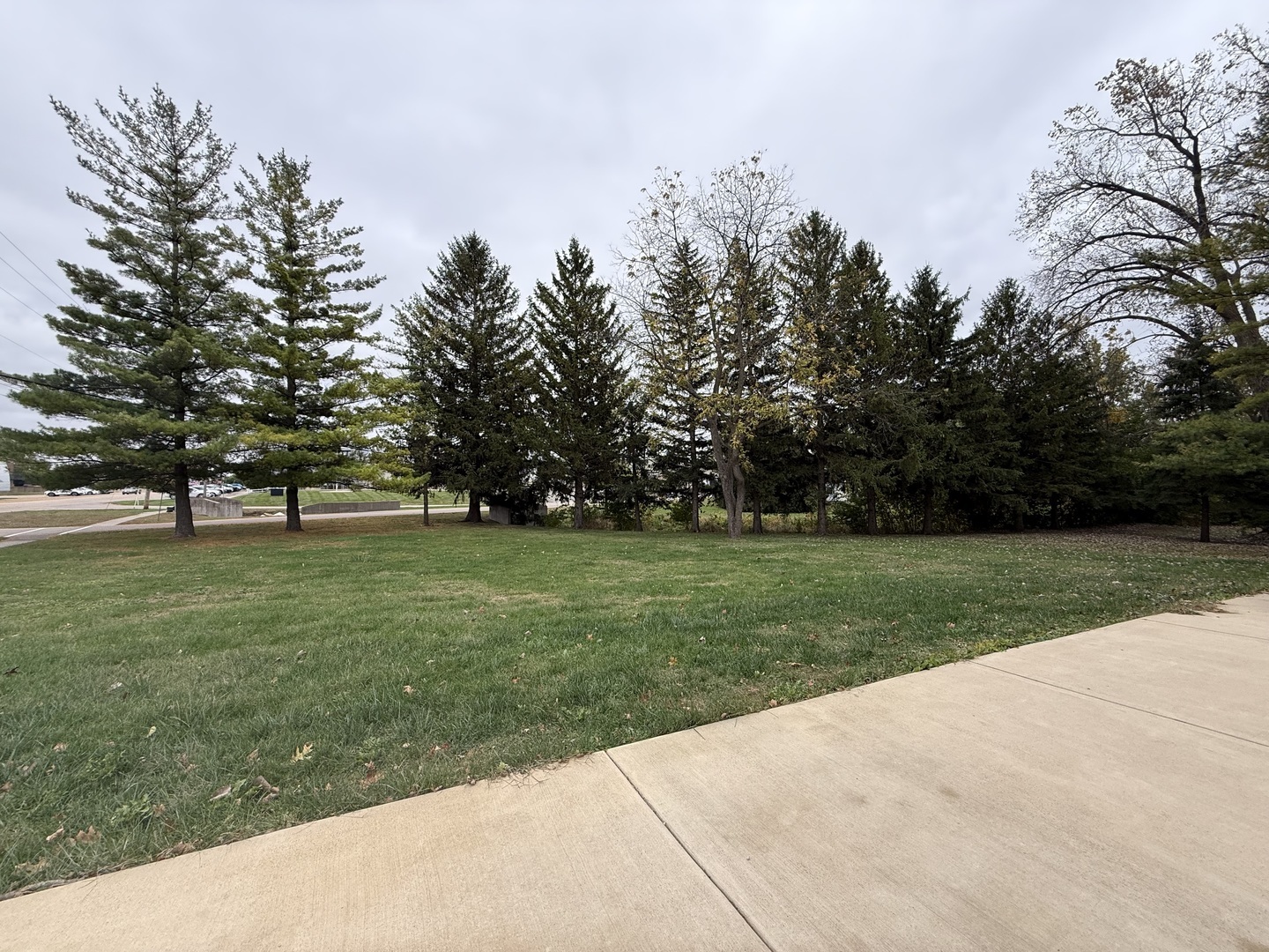 1 East Main Street Amboy, IL 61310 - Photo 6 of 32 a garden view