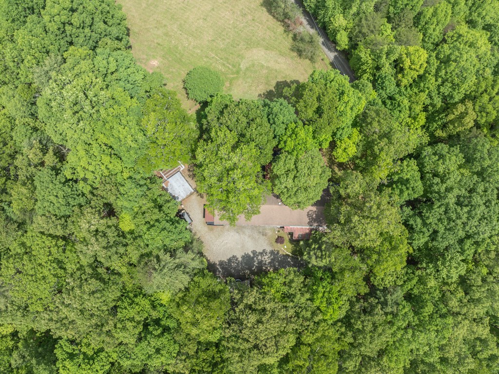 2163 Dickey Road Murphy, NC 28906 - Photo 3 of 80 Gallery Image 3