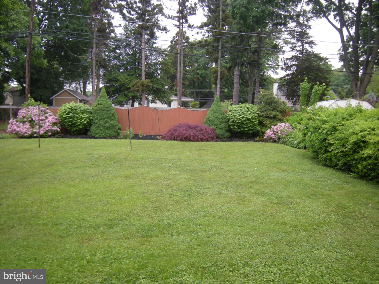 350 Wyndmoor Road Springfield, PA 19064 - Photo 4 of 21 Back Yard