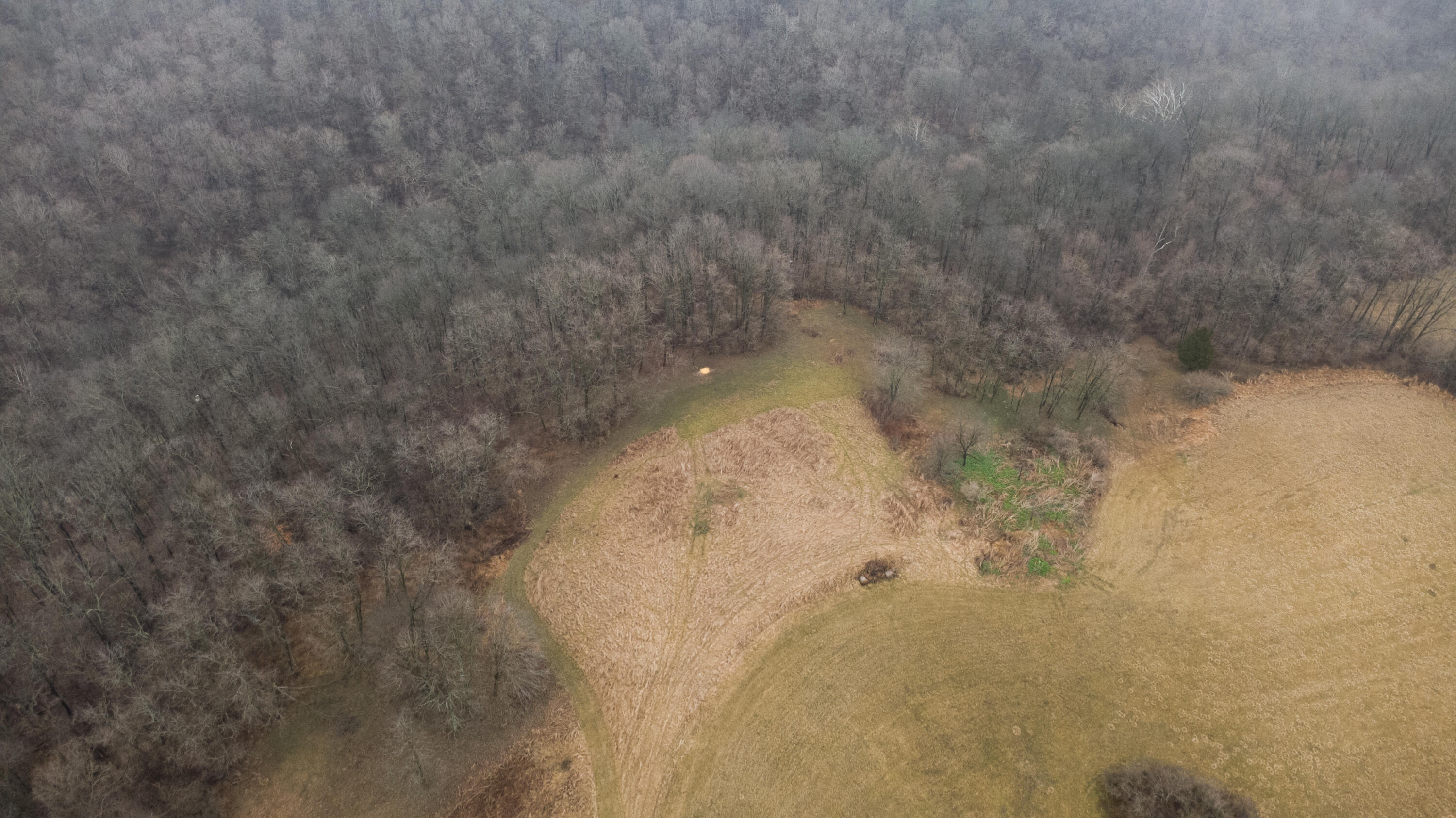 7812 East Bend Road Burlington, KY 41005 - Photo 18 of 47