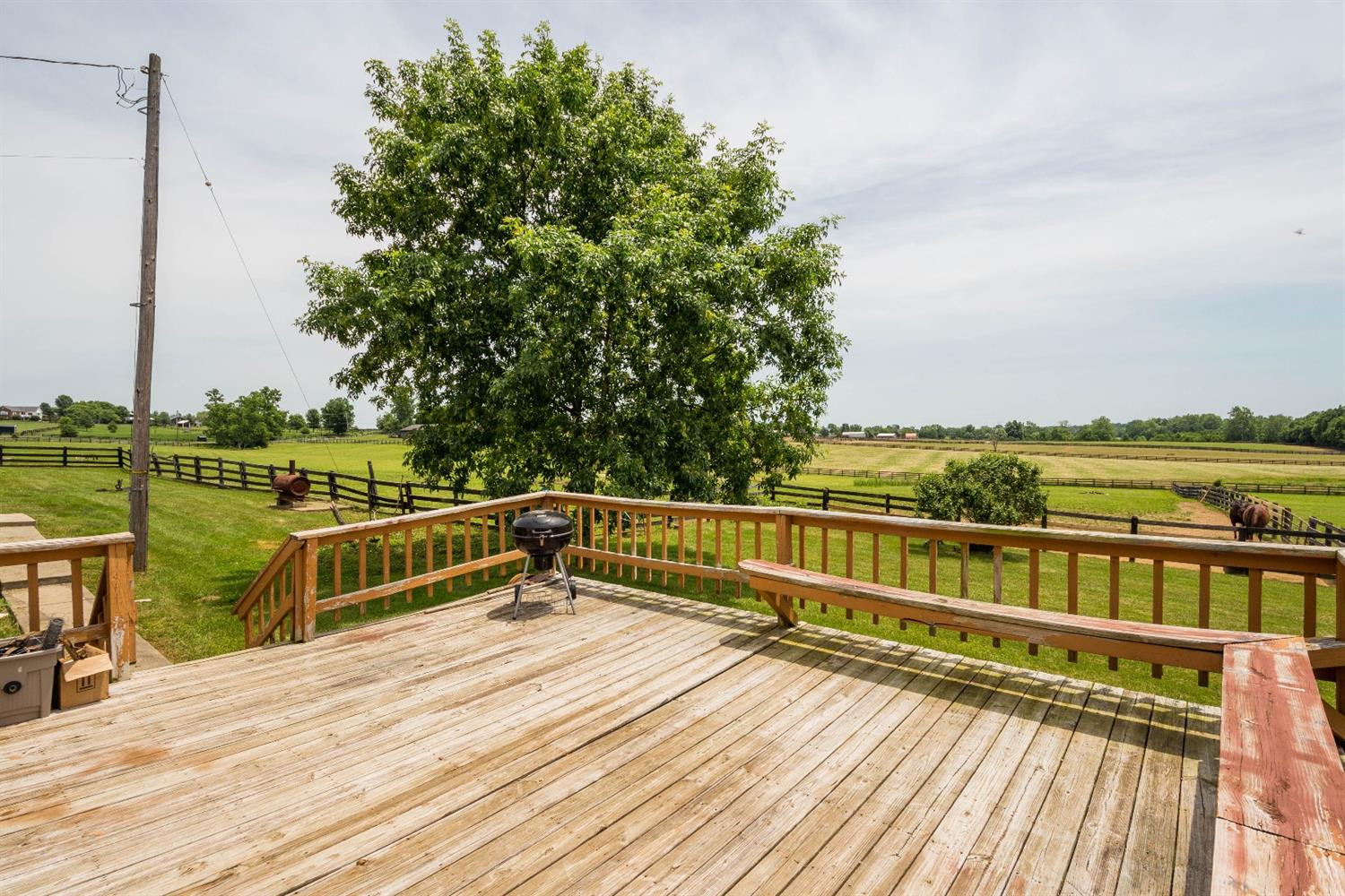 4504 Bryan Station Road Lexington, KY 40516 - Photo 50 of 59 Photo 50