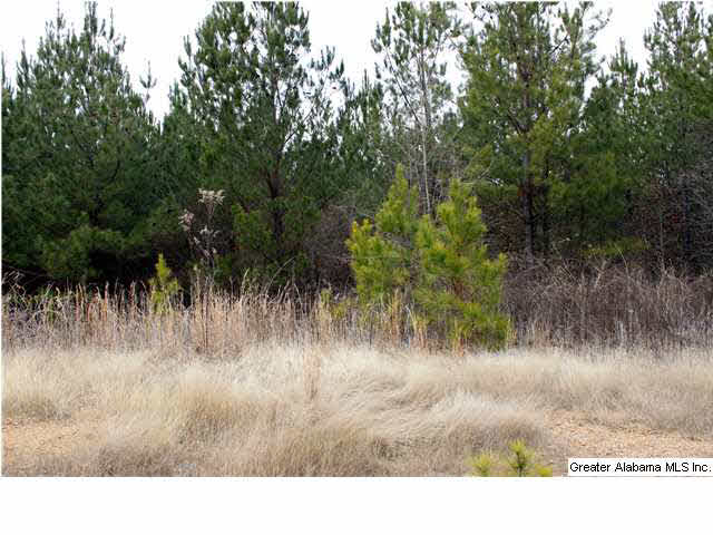 0 Hughes Road, Unit LOT 2A Columbiana, AL 35051 - Photo 1 of 4