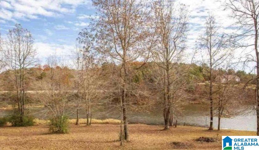 159 Quail Hollow Road Warrior, AL 35180 - Photo 20 of 21