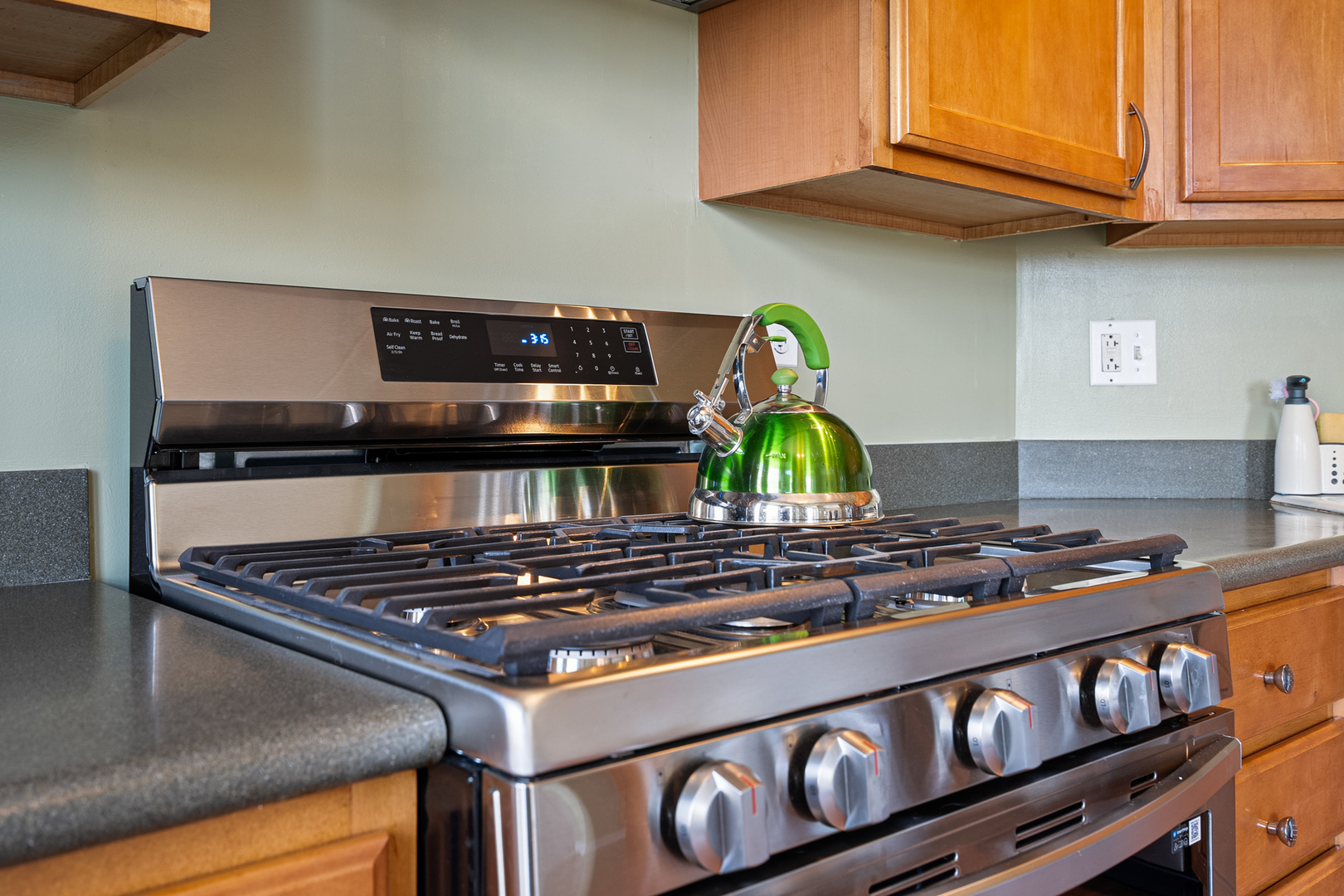 511 Prestwick Lane, Unit 402 Wheeling, IL 60090 - Photo 23 of 27 a close view of stove top oven