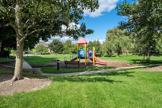 a view of a park with large trees and plants