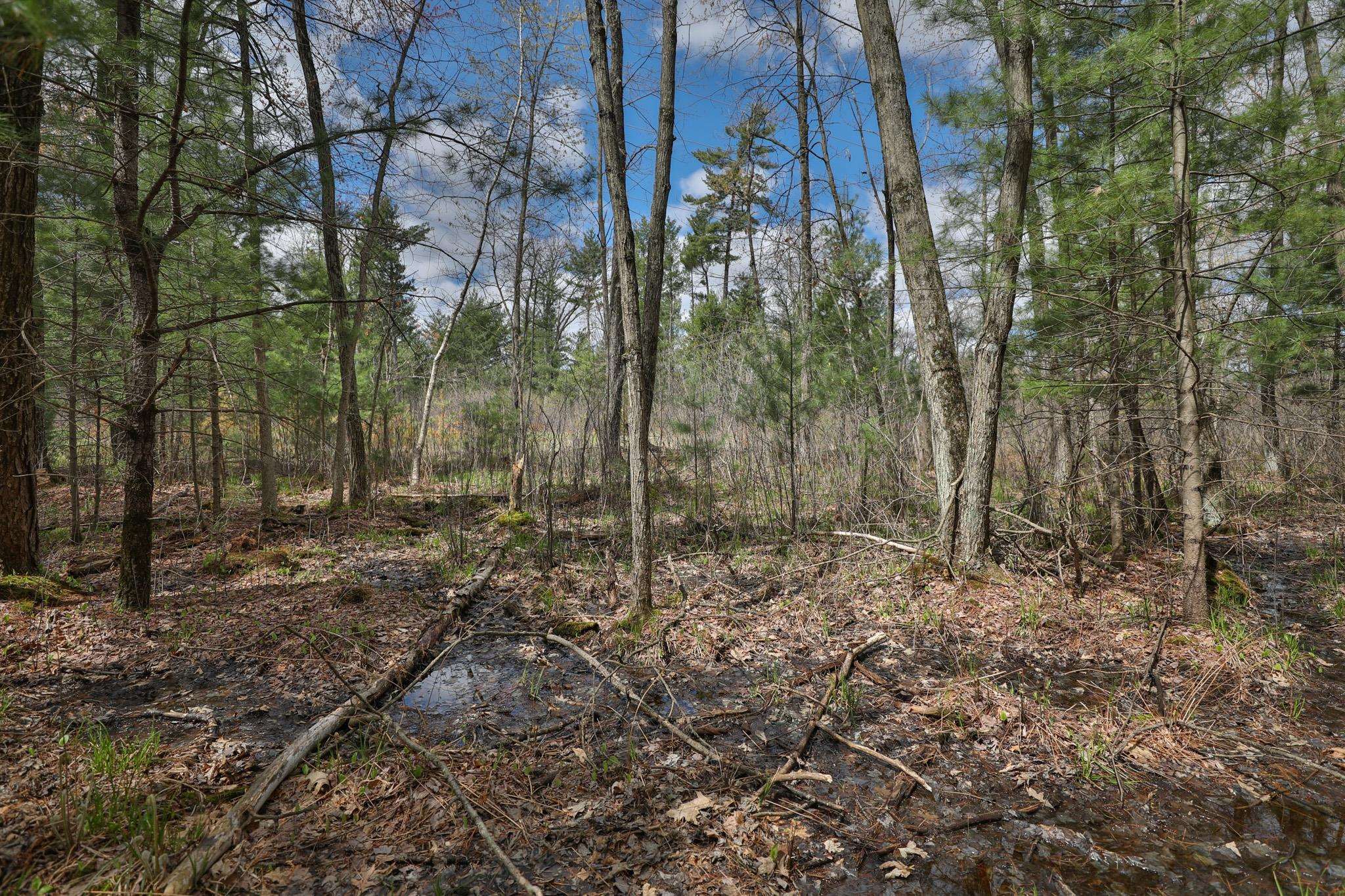 Lot 4 Grayling Tomah, WI 54660 - Photo 37 of 50