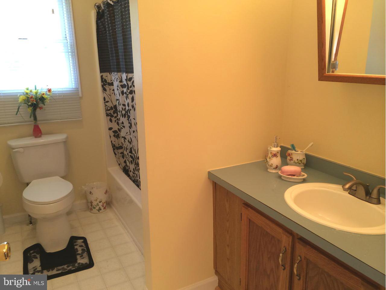 23969 New Mountain Road Aldie, VA 20105 - Photo 11 of 13 Bath