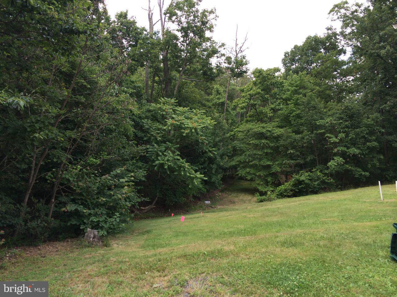 23969 New Mountain Road Aldie, VA 20105 - Photo 12 of 13 Exterior (Rear)