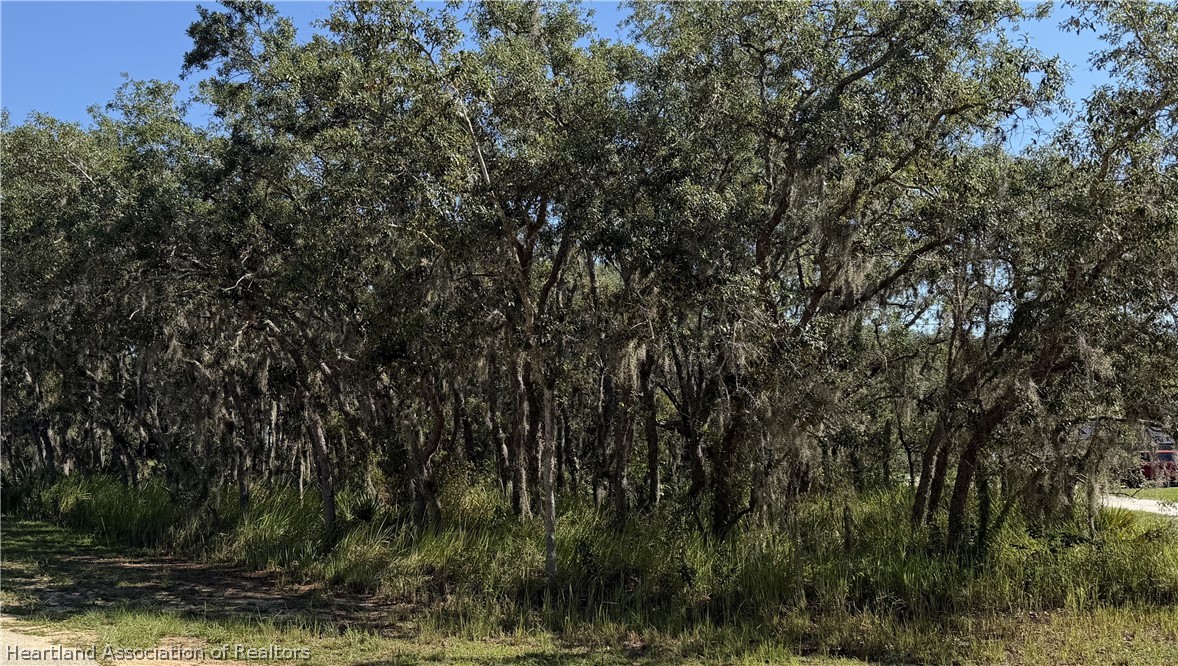 2813 North Monroe Road Avon Park, FL 33825 - Photo 3 of 5