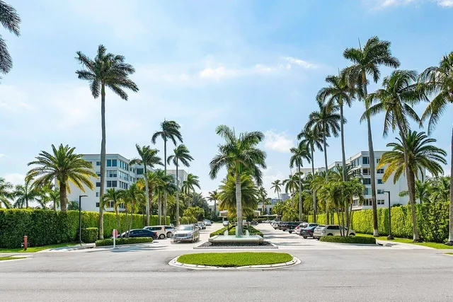 a view of outdoor space with palm trees