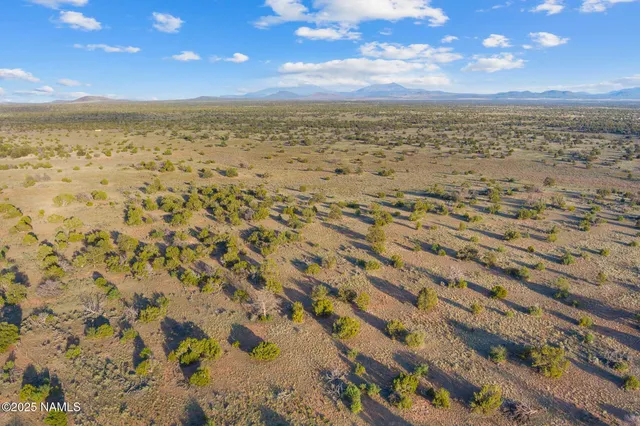 a view of an ocean beach