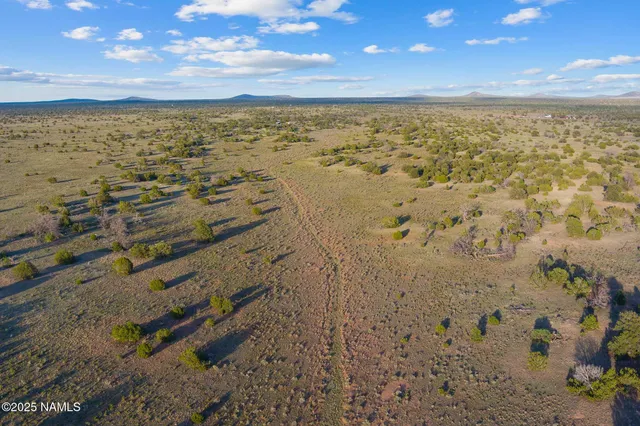 a view of city and ocean
