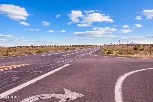 a view of a dry yard with trees in the background