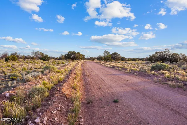 $62,500 | 4436 East Indian Meadows Road, Williams, AZ 86046