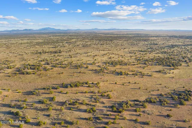 a view of city and ocean