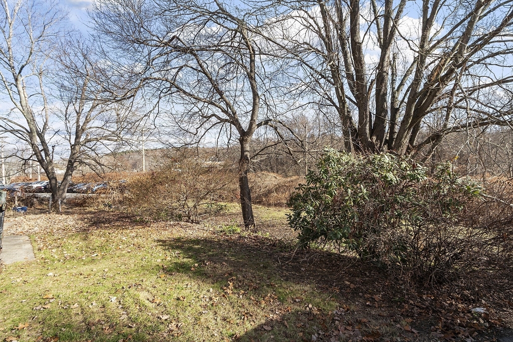 42 Stevens Street, Unit 42 Andover, MA 01810 - Photo 18 of 19 a view of a yard with trees