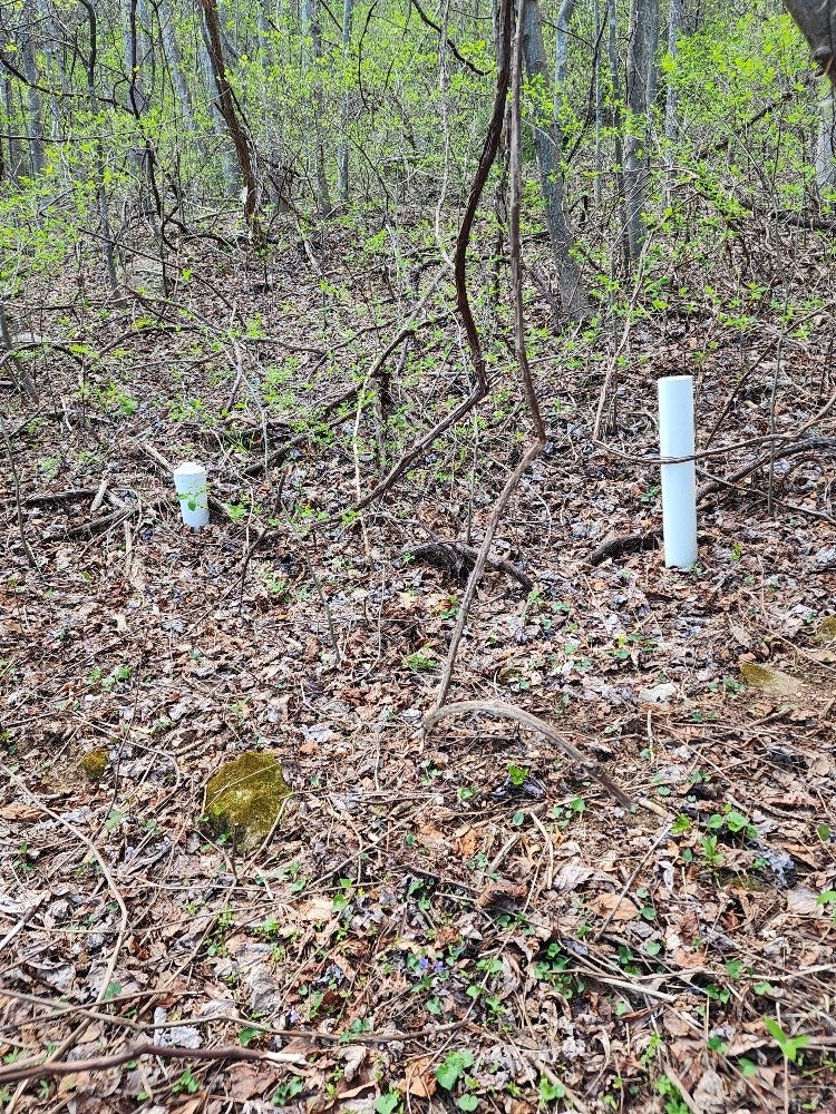 Tbd Tbd Spring Valley Road Fancy Gap, VA 24328 - Photo 25 of 27 Gallery Image 25