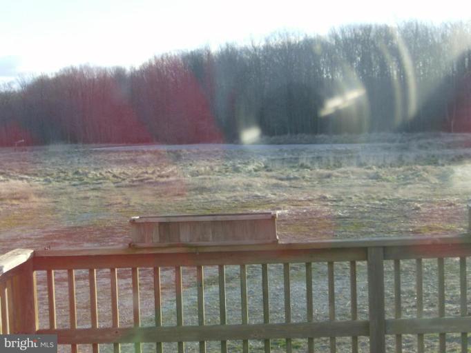 1409 Goldsboro Road Ingleside, MD 21644 - Photo 21 of 21 Back yard