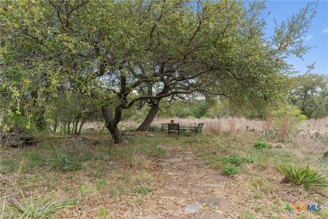404 Skyline Road Georgetown, TX 78628 - Photo 35 of 40 a view of a yard with a tree