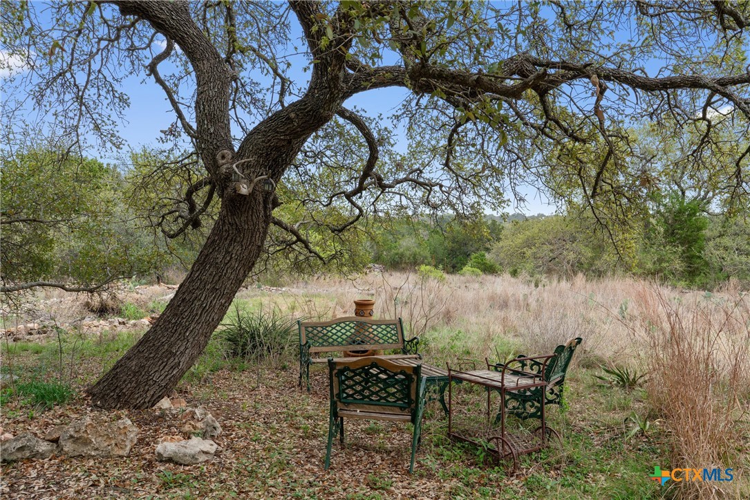 404 Skyline Road Georgetown, TX 78628 - Photo 36 of 40 a backyard of a house with table and chairs