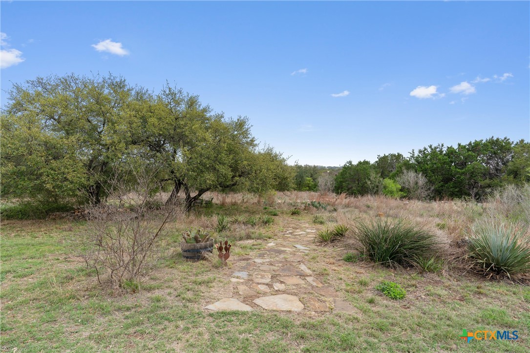 404 Skyline Road Georgetown, TX 78628 - Photo 9 of 40 a view of a yard with a tree
