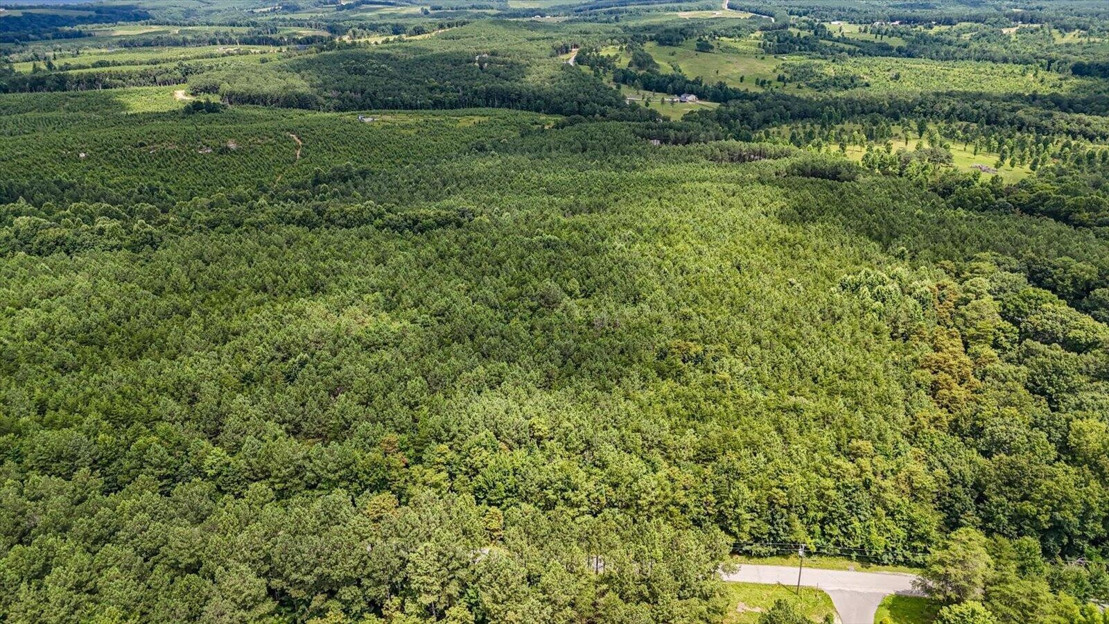 0 Coca-Cola Road Dunlap, TN 37327 - Photo 13 of 20