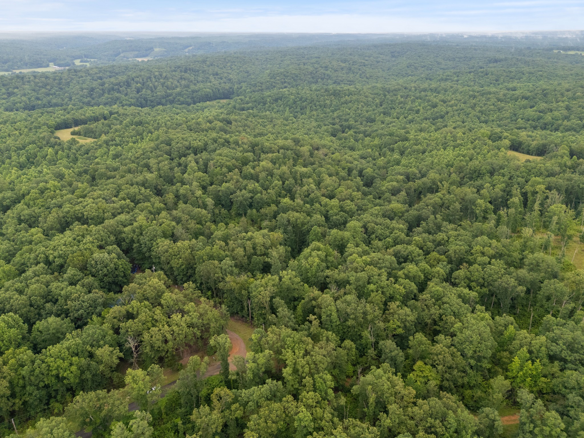 1270 North Buchanan Road Waverly, TN 37185 - Photo 12 of 19