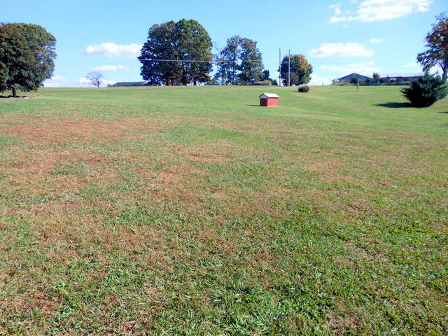 645 Glenlock Road Sweetwater, TN 37874 - Photo 21 of 38 21-DSCN1825