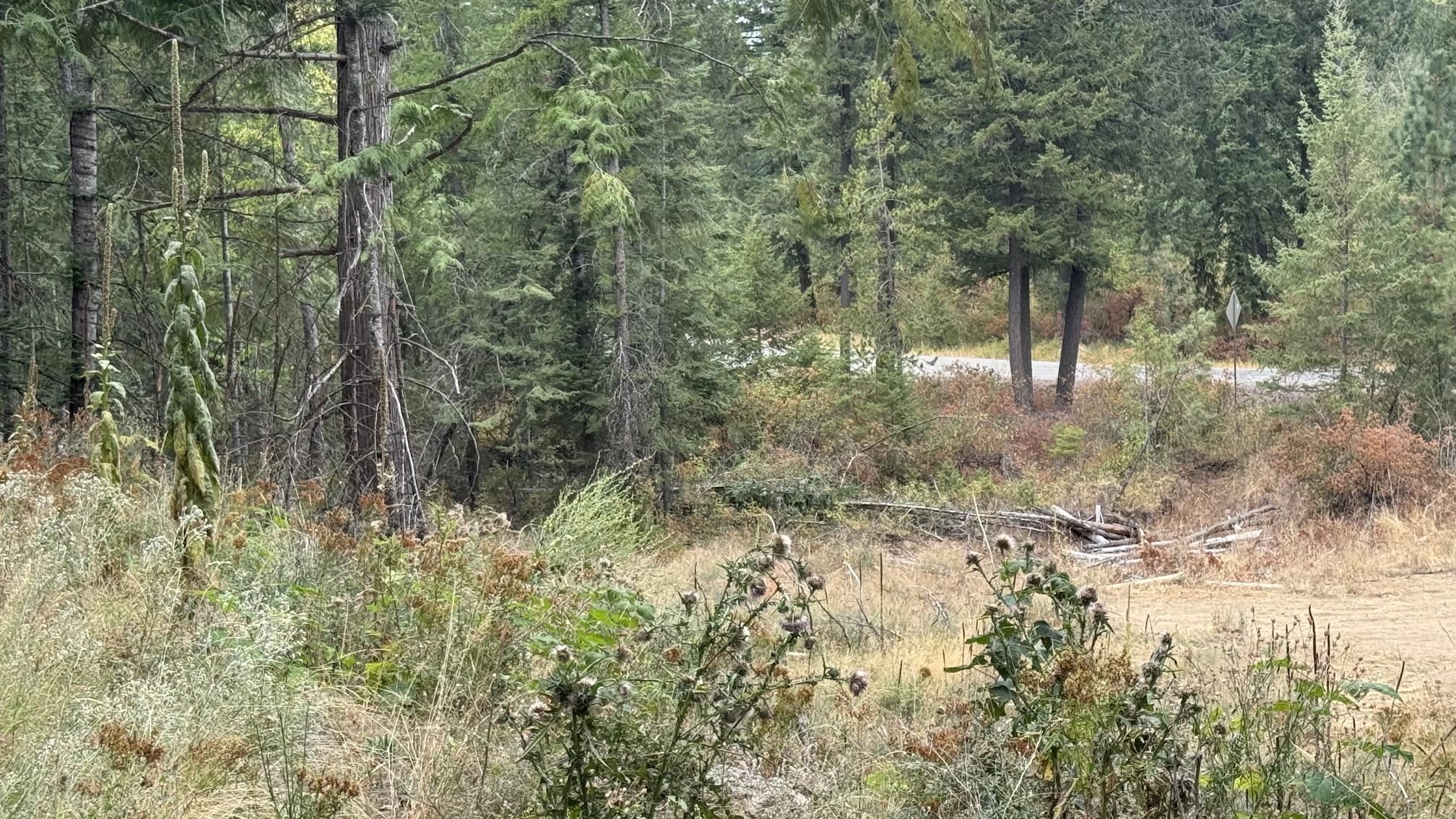 10313 Spring Valley Road Elk, WA 99009 - Photo 20 of 28 Gallery Image 20