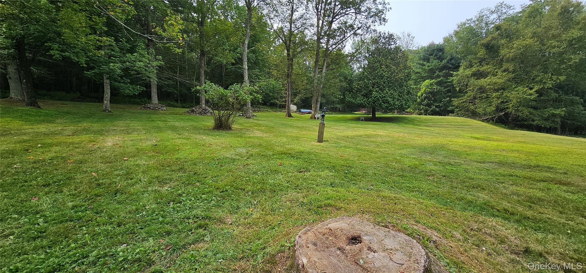 87 Parker Road Narrowsburg, NY 12764 - Photo 17 of 23 a view of a park with a slide