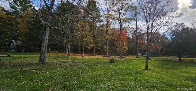 a ground with lots of trees and plants