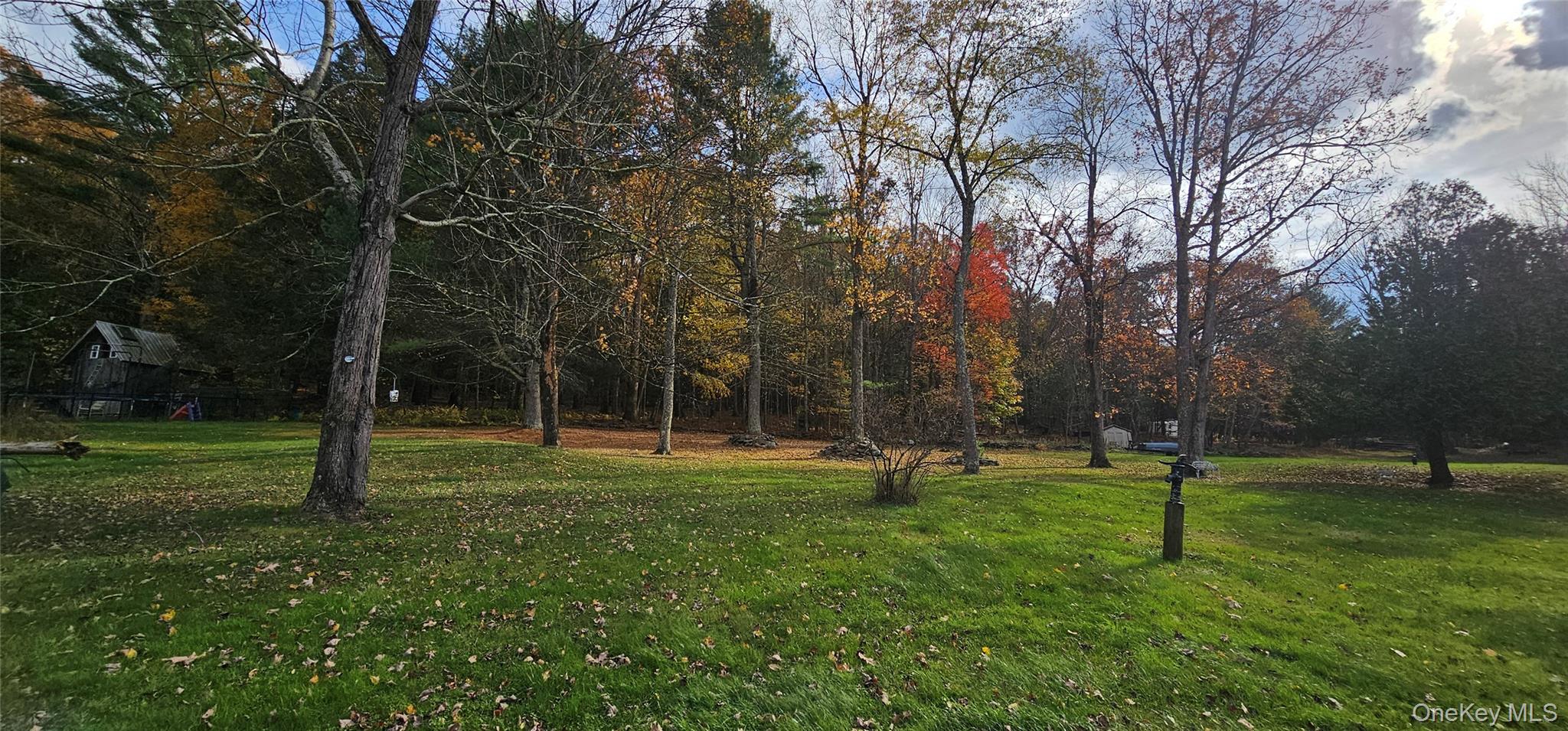 87 Parker Road Narrowsburg, NY 12764 - Photo 18 of 23 a ground with lots of trees and plants