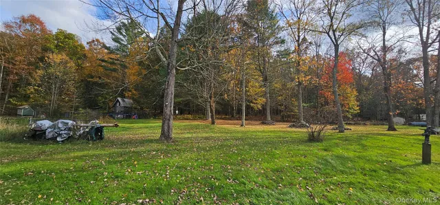 a ground with lots of trees