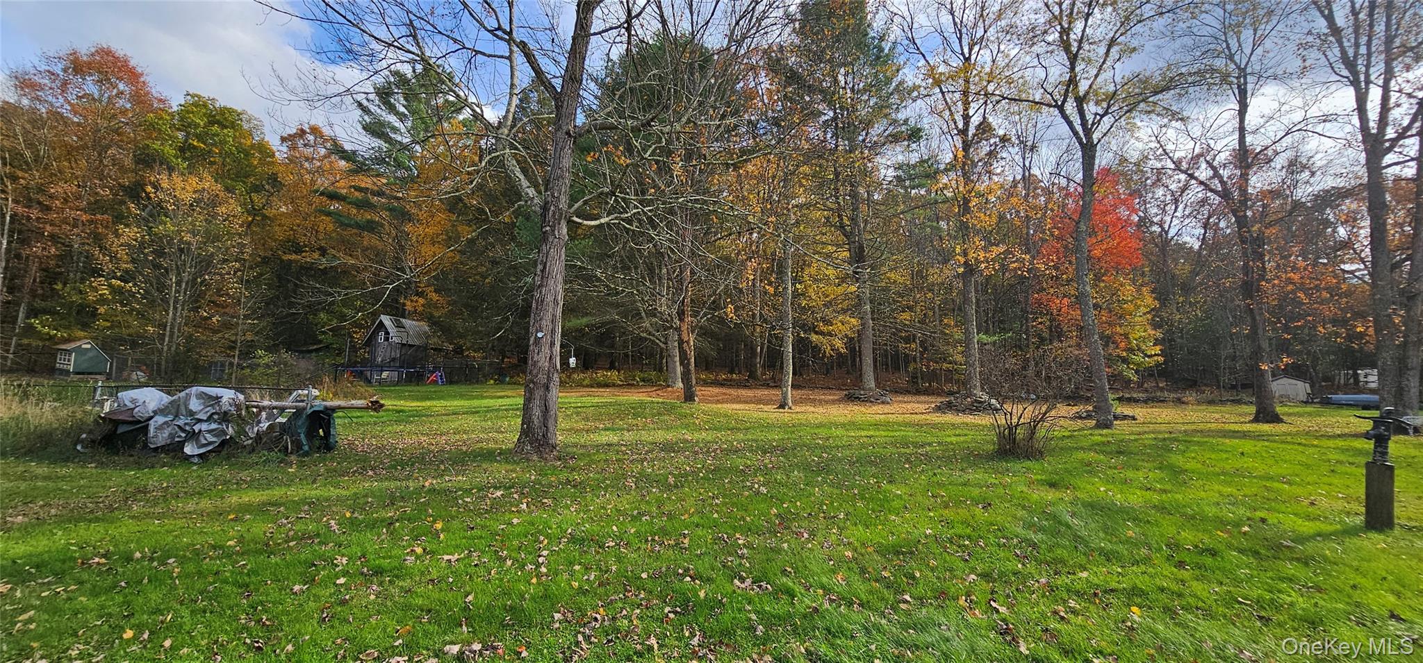 87 Parker Road Narrowsburg, NY 12764 - Photo 19 of 23 a ground with lots of trees