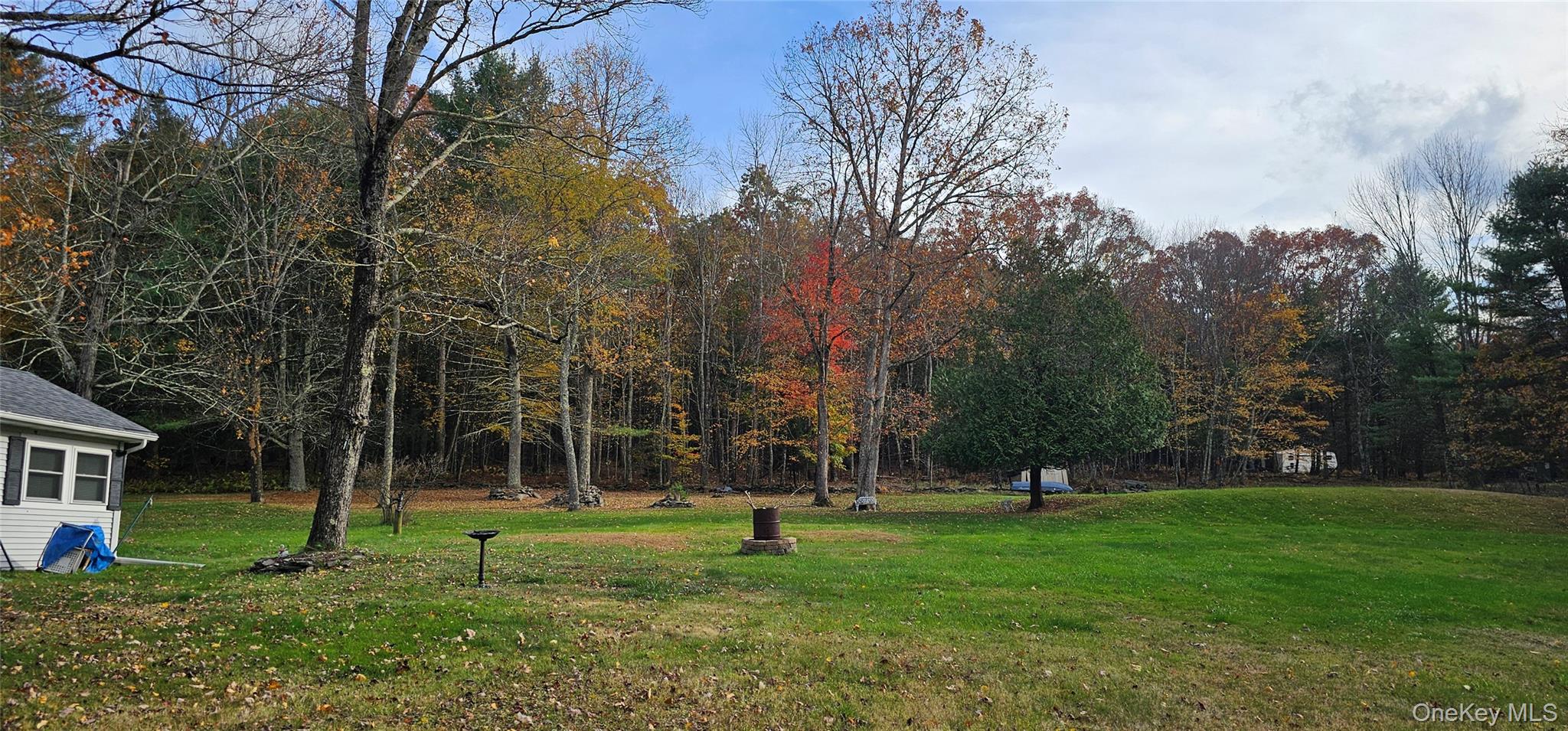 87 Parker Road Narrowsburg, NY 12764 - Photo 20 of 23 a view of a park with lots of trees