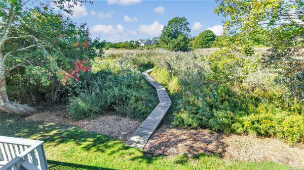 a view of a yard with plants and large trees
