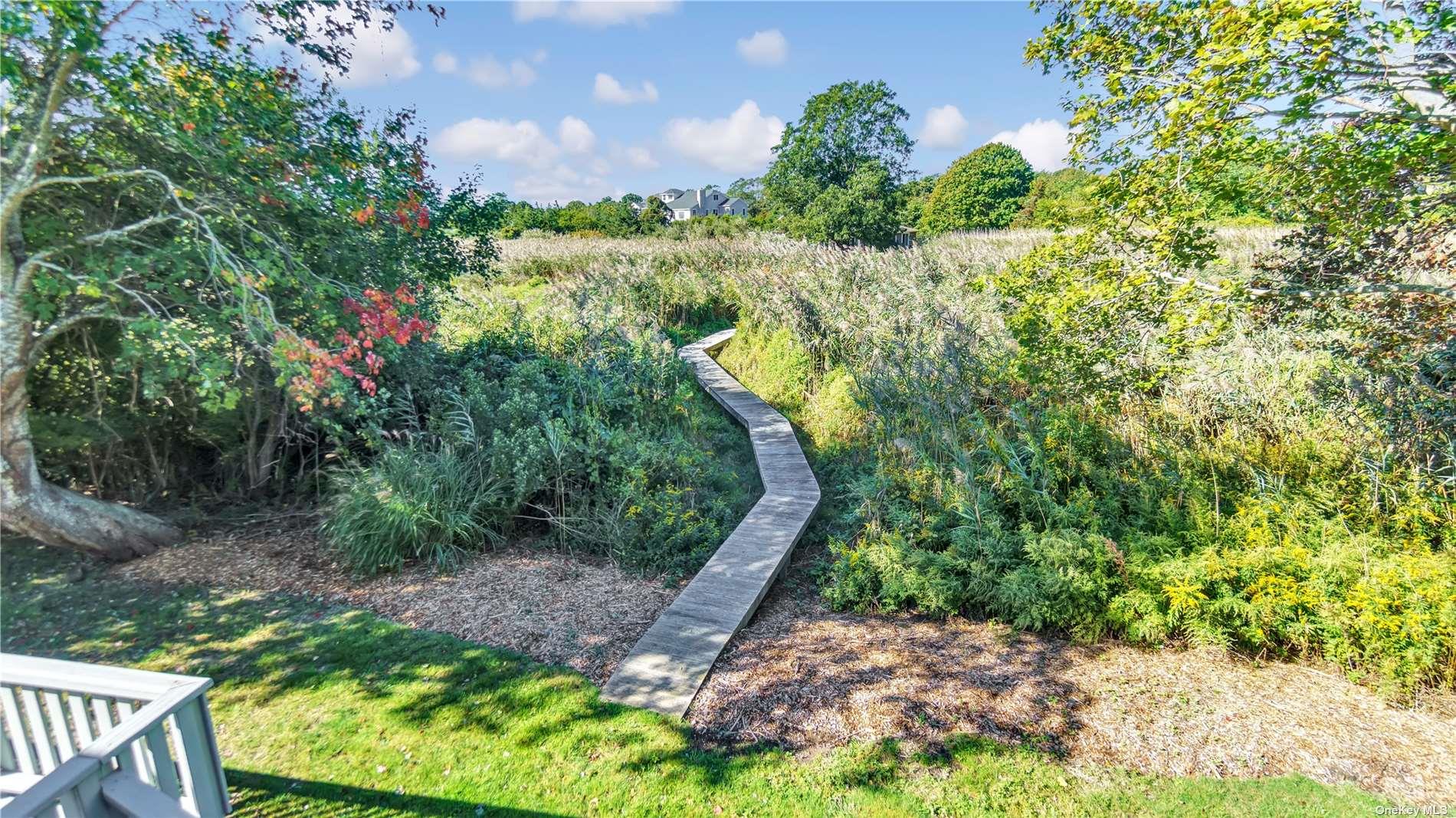 19 Rogers Lane Remsenburg, NY 11960 - Photo 25 of 28 a view of a yard with plants and large trees