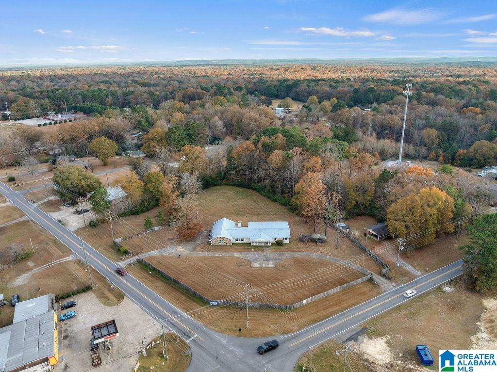 2366 North Walston Bridge Road Jasper, AL 35504 - Photo 47 of 52