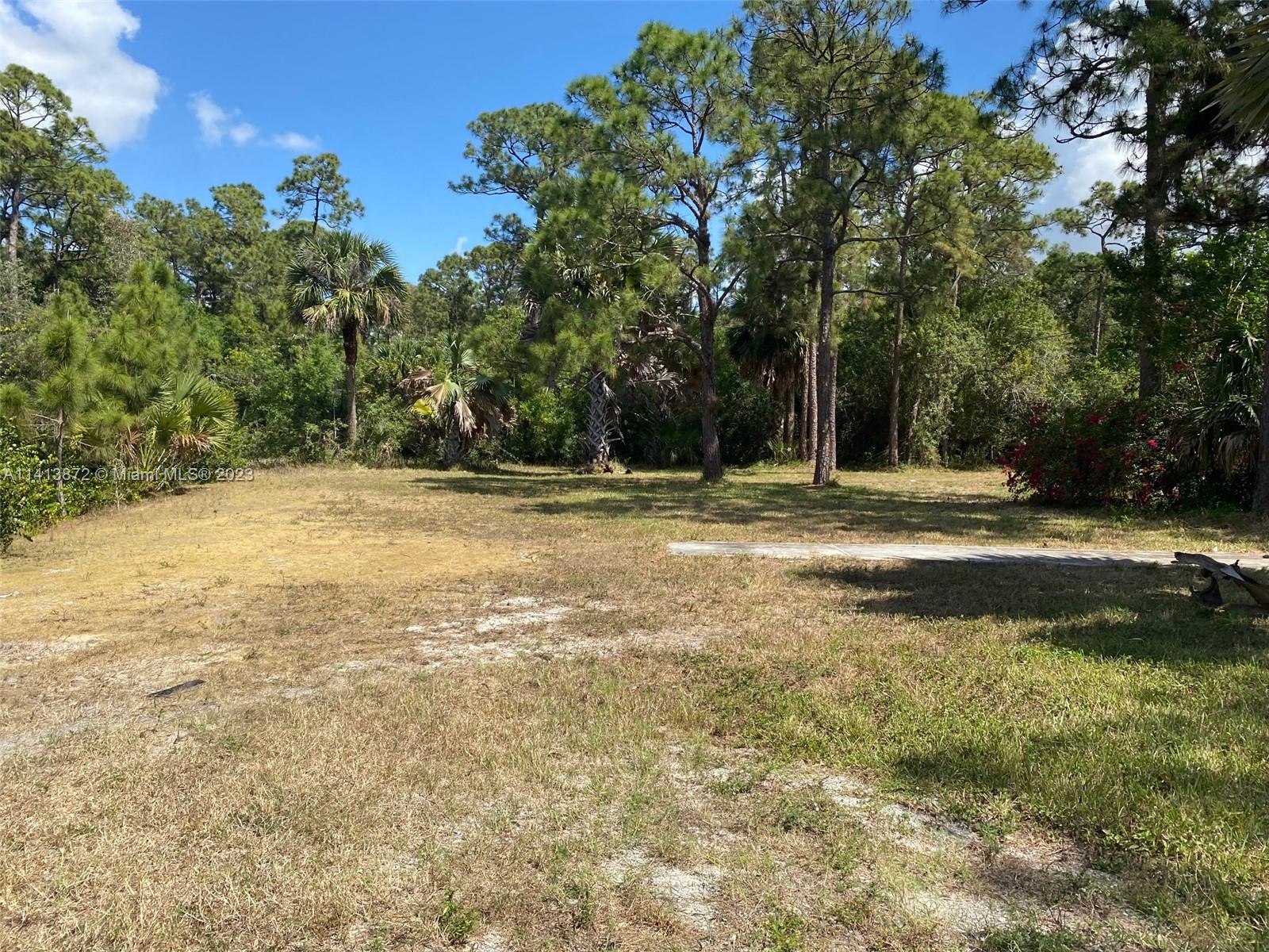 3141 C Road Loxahatchee, FL 33470 - Photo 5 of 16 a view of outdoor space with trees