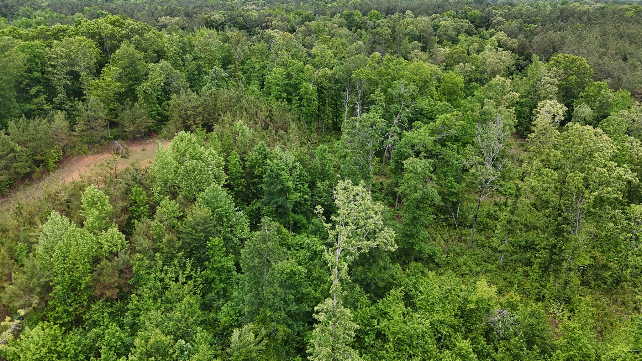 178 Lester Plunk Road Bethel Springs, TN 38315 - Photo 28 of 39 Gallery Image 28